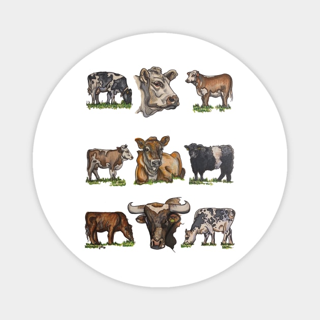 Cows Magnet by jilliandohertyart